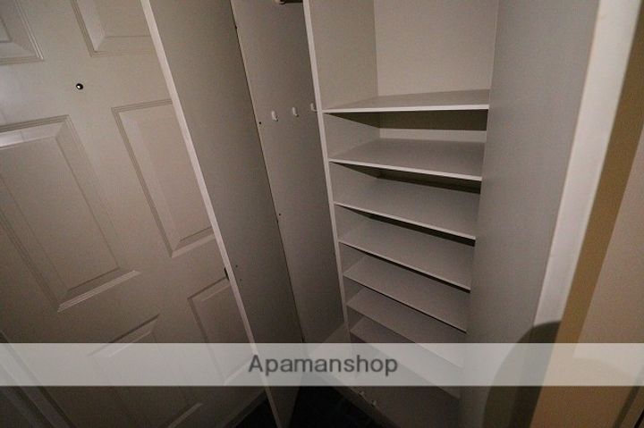 広島県広島市佐伯区五日市中央4丁目の賃貸マンションの内装