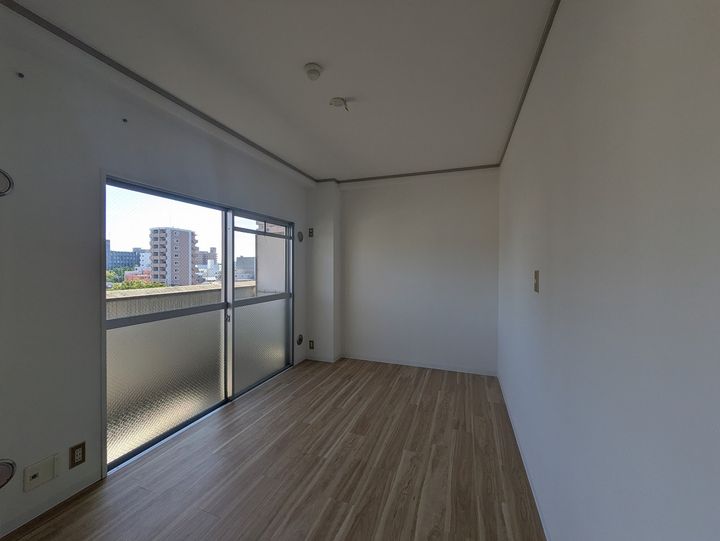 ビレッジ岩崎703号室の内装