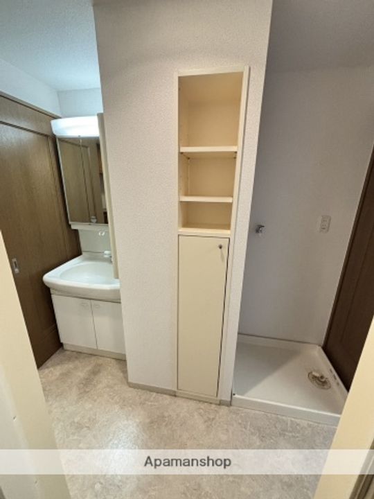 広島県広島市安佐南区中須1丁目の賃貸マンションの内装