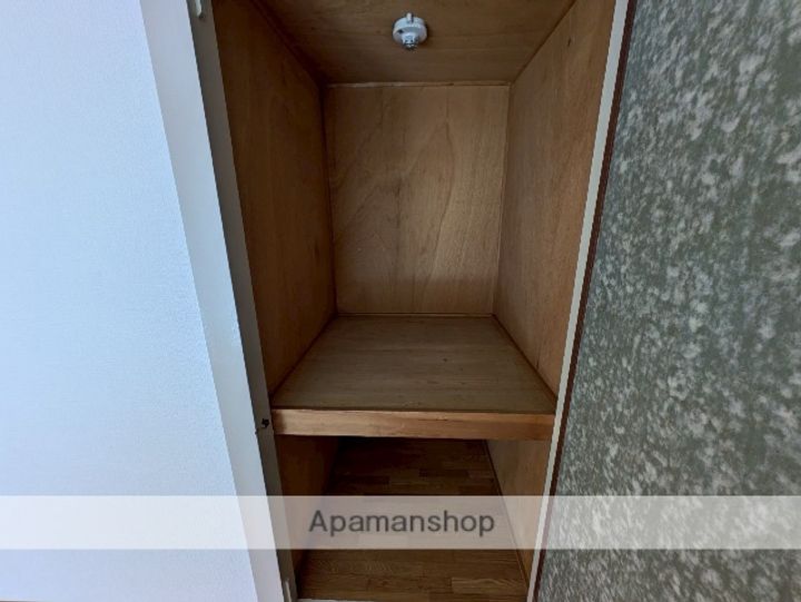 グリーンハイツ多田の内装