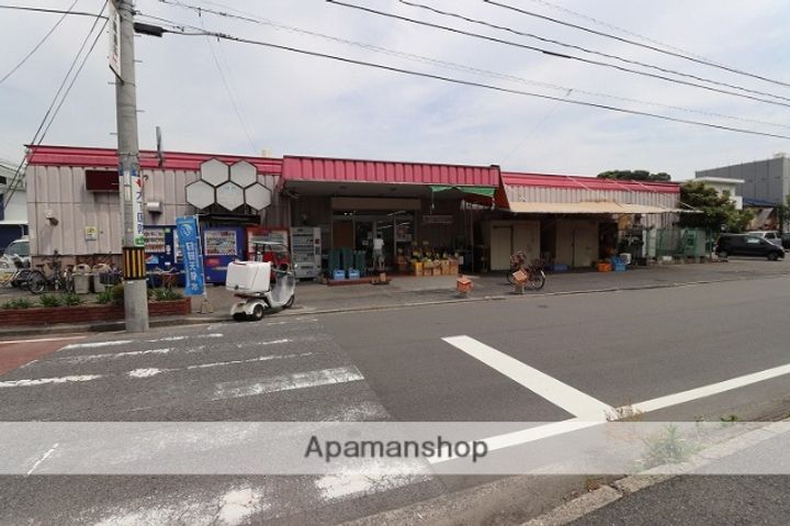 東雲コーポ206の周辺