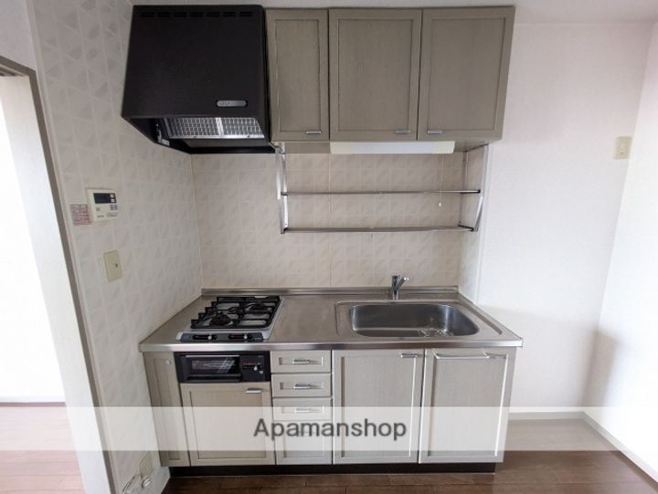 ニューハイコンスⅠ102のキッチン