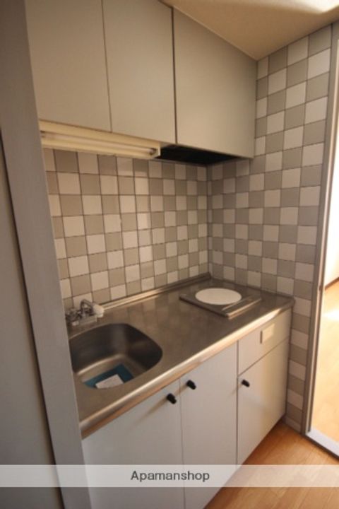 ダイアパレス横川公園のキッチン