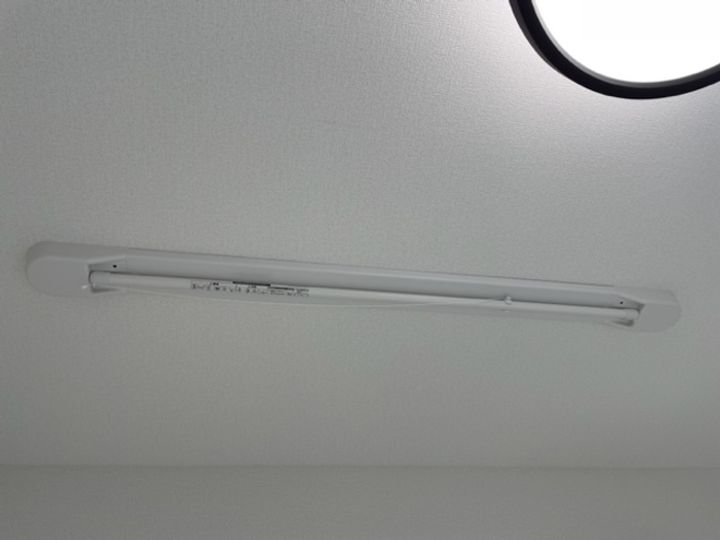 アゼリアのその他画像