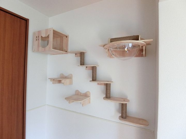 ドルチェ広島駅北口302の内装