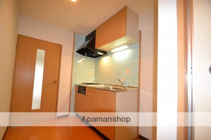 パラダイス西条201の内装