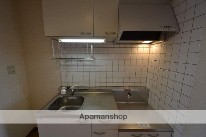 広島県東広島市西条下見5丁目の賃貸マンション305のキッチン