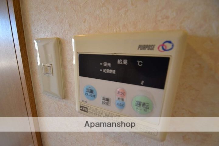 広島県東広島市西条下見5丁目の賃貸マンションの内装