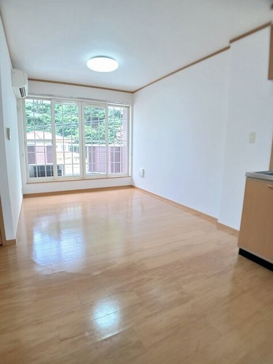 リーパ・フルーミニスの居間