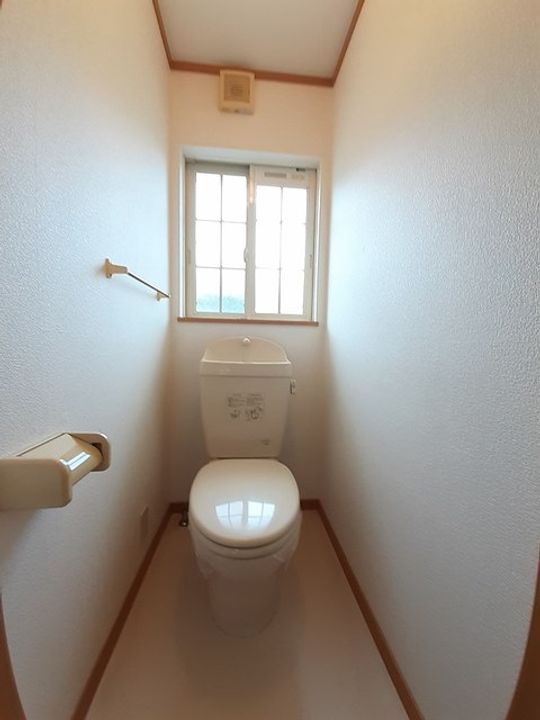 リーパ・フルーミニスのその他画像