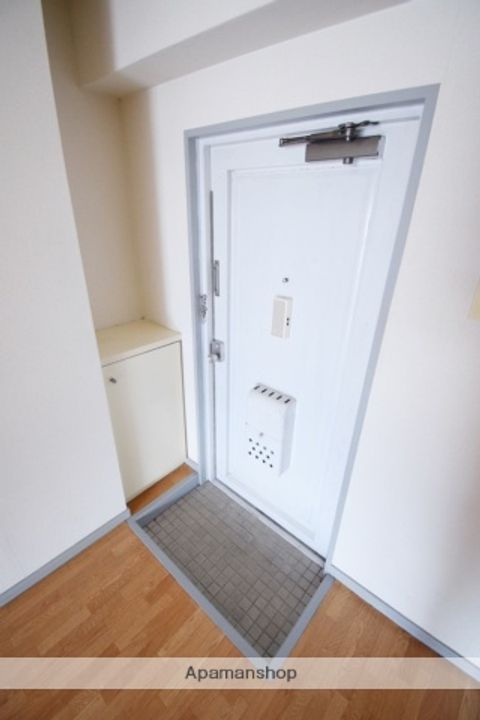 広島県安芸郡海田町南大正町の賃貸マンションの玄関