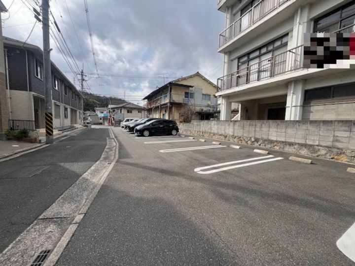 ホワイトリリーのその他画像