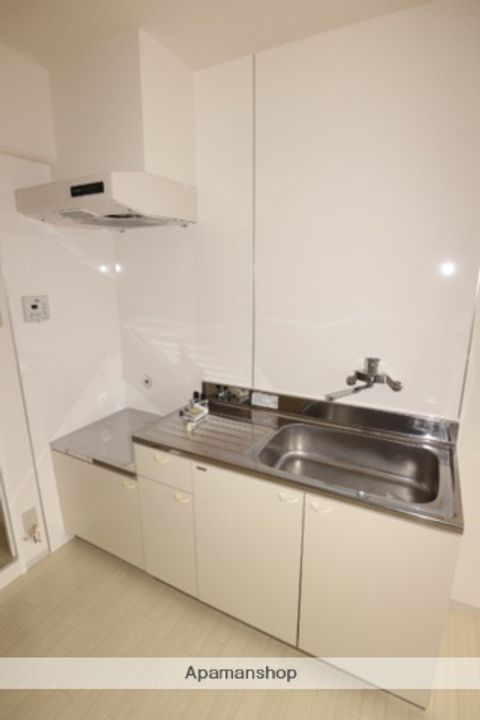 山口県岩国市麻里布町4丁目の賃貸マンション301のキッチン