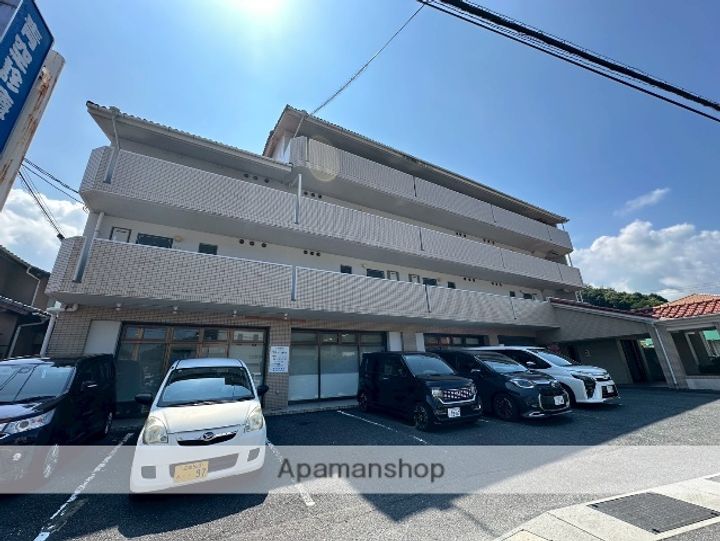 山口県岩国市平田6丁目の賃貸マンション402の外観