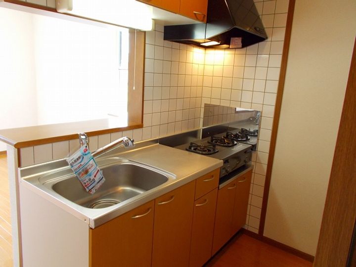 トレジャーガーデンⅡのキッチン