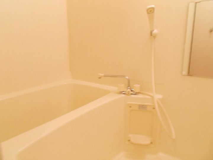 トレジャーガーデンⅡの風呂