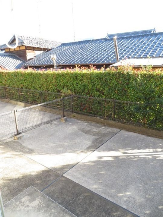 シュティール アルバのその他画像