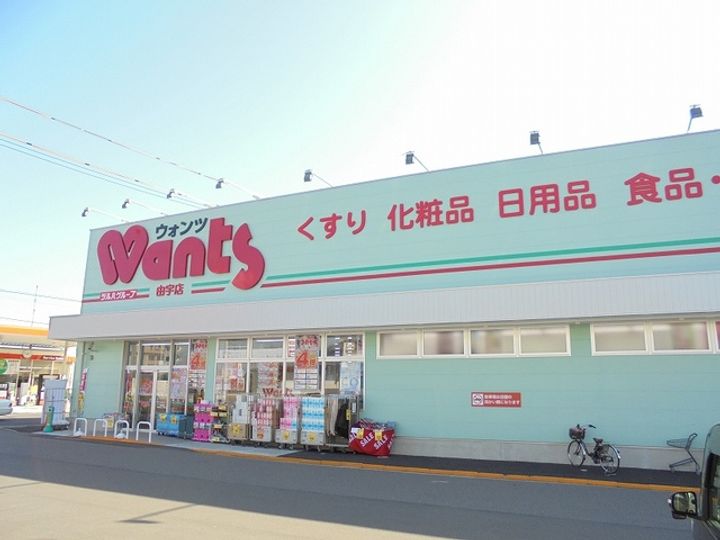 ニューハーバーライトの周辺