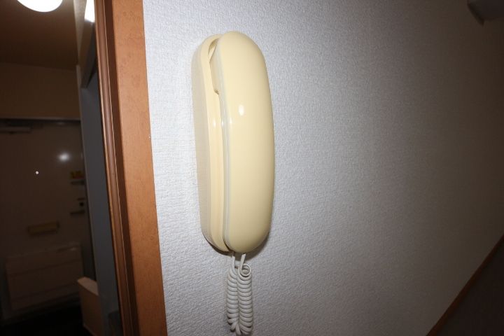 レオパレスフォンターナ201のその他画像