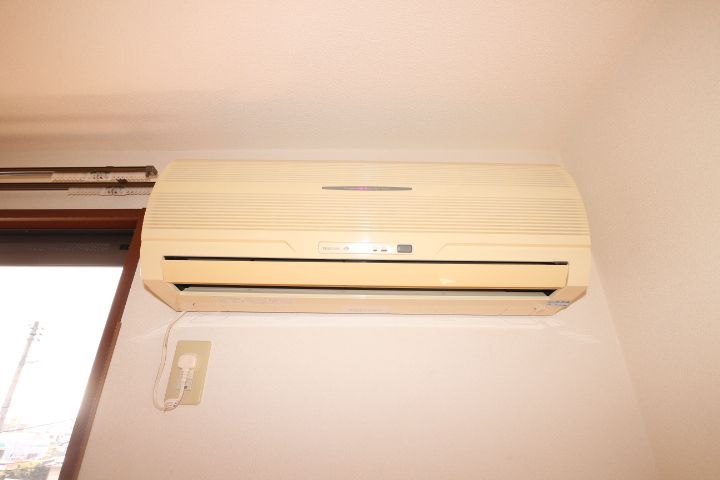 スズサニーのその他画像