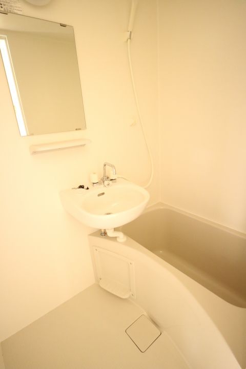 ヴィラナリー柳井305の風呂