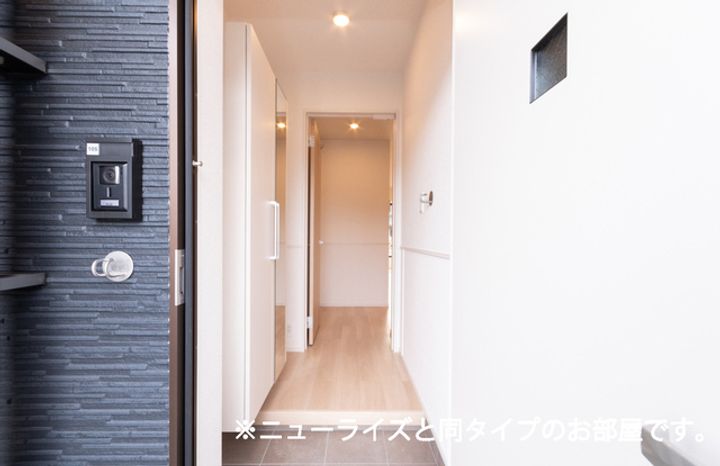 ネオ・ソレイユAの玄関