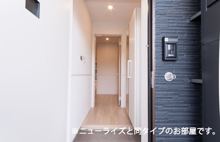 ネオ・ソレイユAの玄関