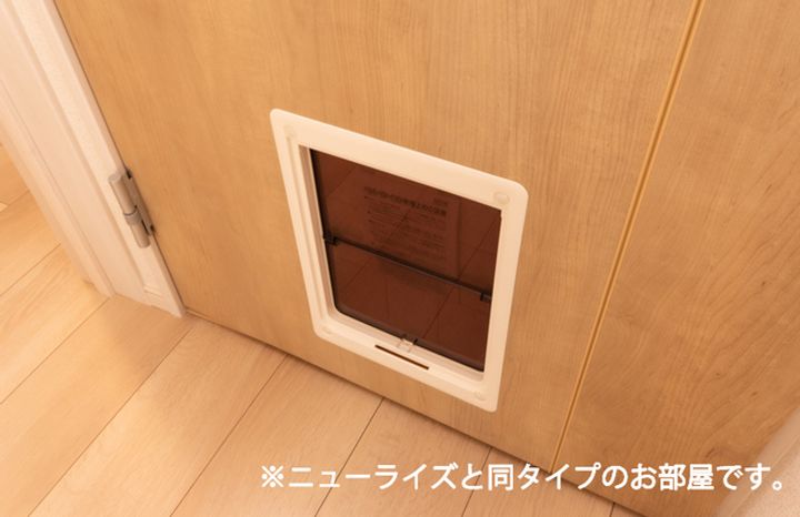 ネオ・ソレイユAのその他画像