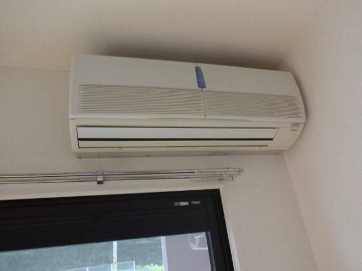 カリダ ウェントゥスのその他画像