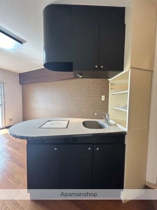 アルフィーネ宇部210のキッチン