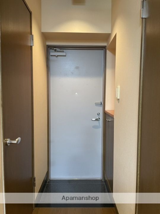 ランドスマンション東新川603の玄関