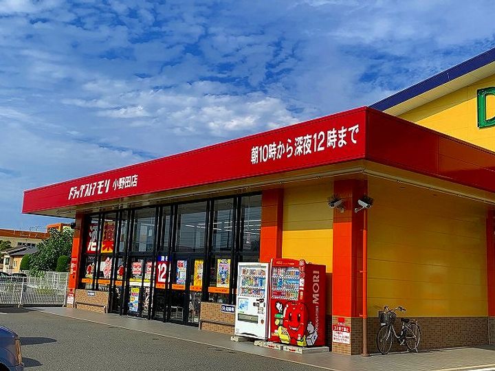 レオネクストBフリーゼ106の周辺