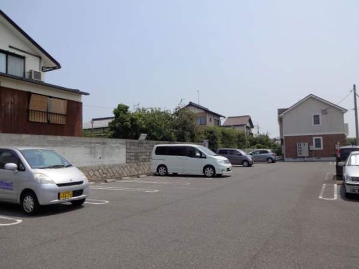 サンフラワーのその他画像