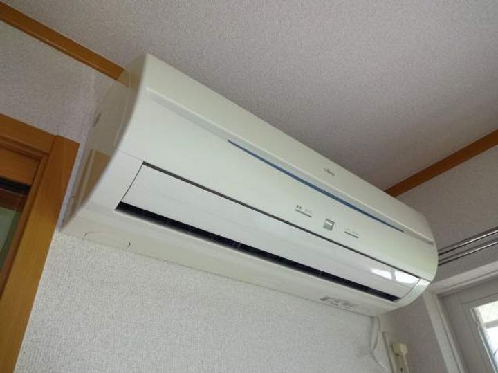 サンフラワーのその他画像