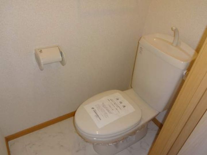 サンフラワーのその他画像