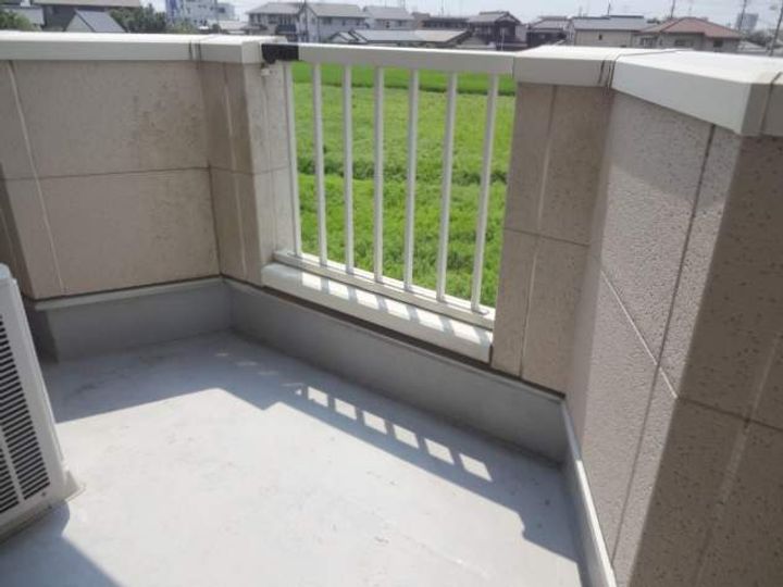 サンフラワーのその他画像