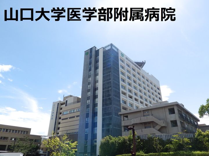 ラプランタンの周辺