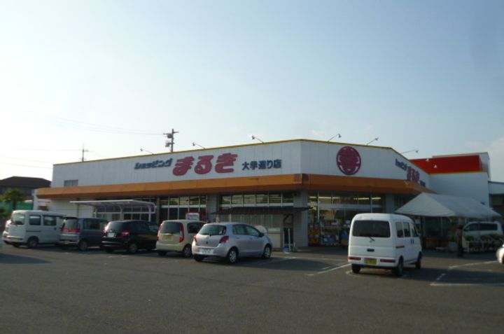 スカイハイツの周辺