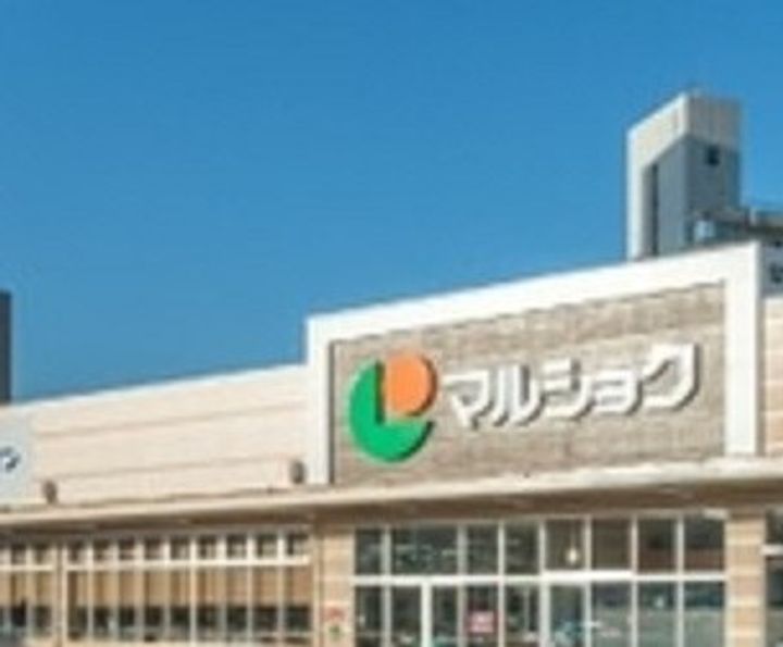 レオパレスプラナトピア203の周辺