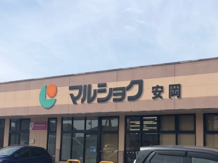 レオネクストアダージョ111の周辺