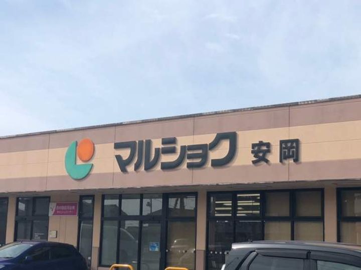 レオネクストアダージョ210の周辺