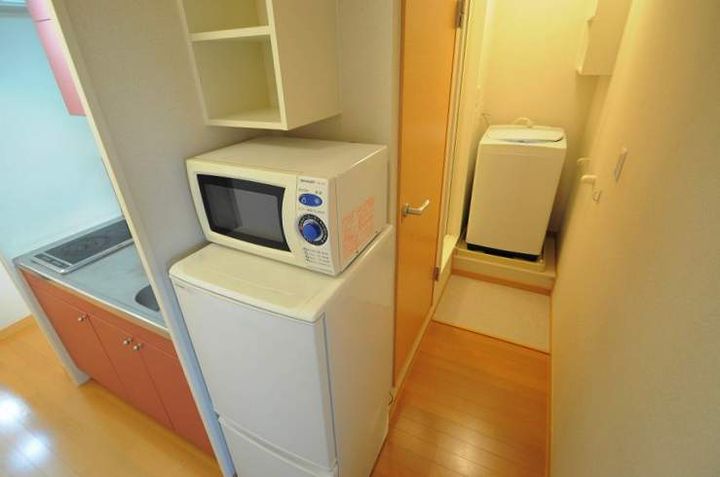 レオネクストリチェズ208のキッチン