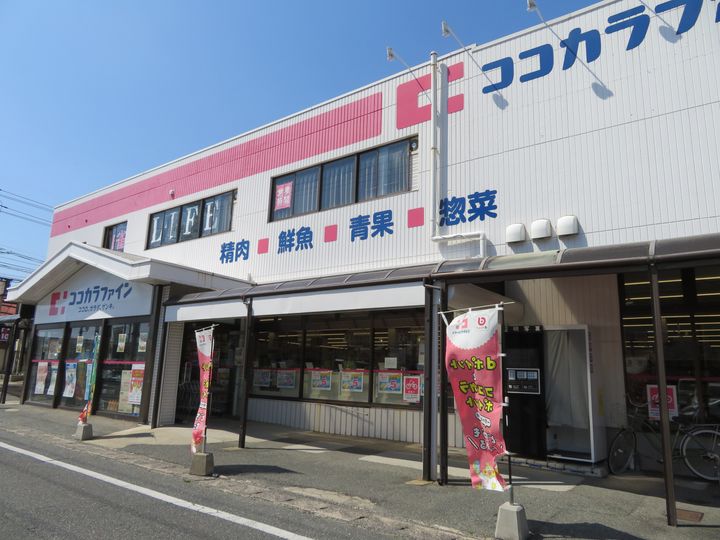 アベニューの周辺