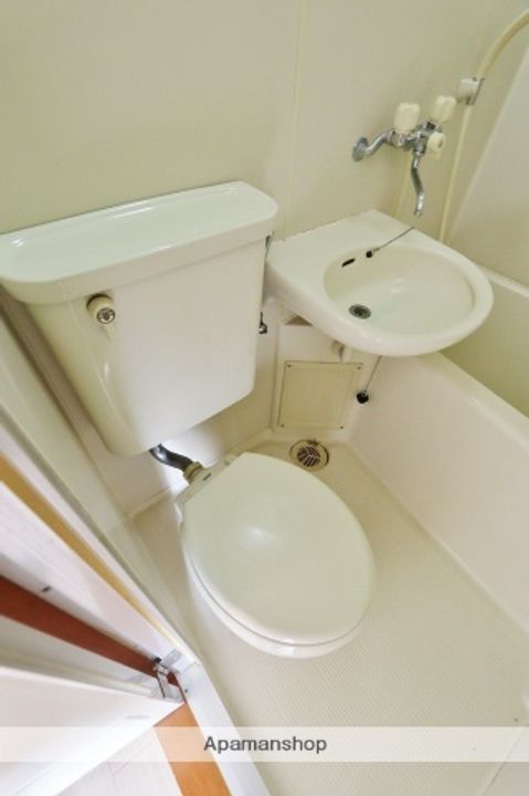 清紫苑Aのその他画像