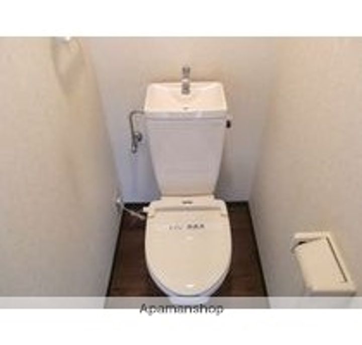 アベニールシライトのその他画像