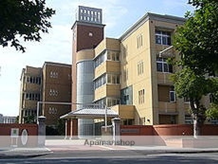 ヤングハイツ206の周辺