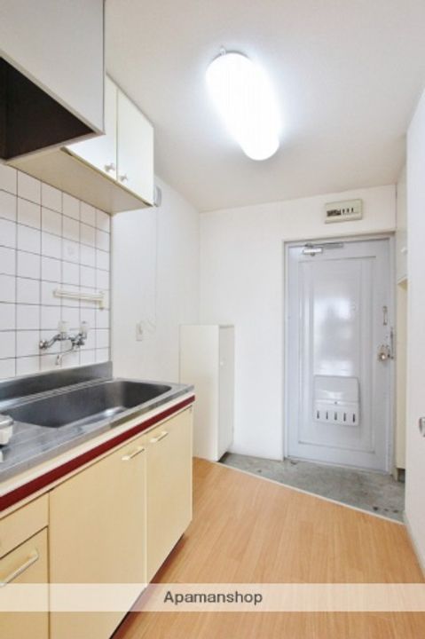 ヤングハイツ206の玄関