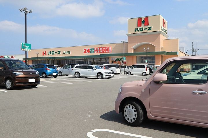 ビレッジハウス立江1号棟の周辺