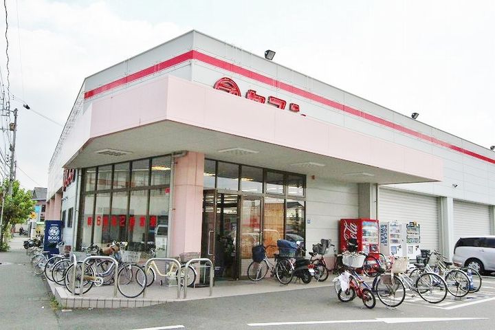 パインヴィレッジの周辺