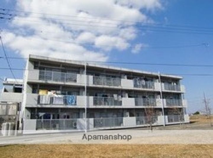 アベニールシライトのその他画像